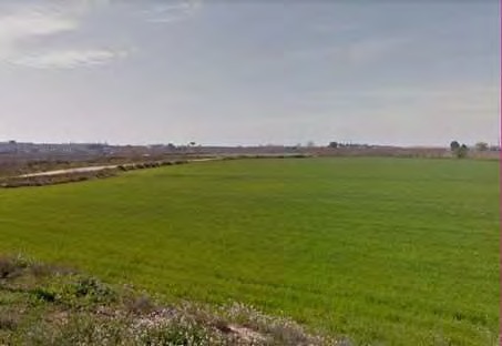Camps de Les Fonts I, al Terme de Grealó