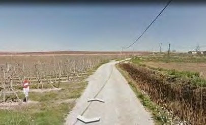 Camí entre fruiters a Torre Garrell
