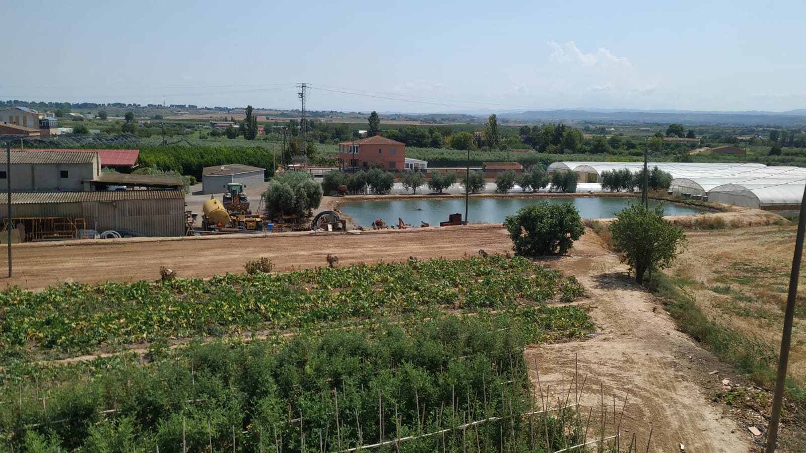Horta amb conreus en primer terme, una bassa de reg, hivernacles i torres al fons
