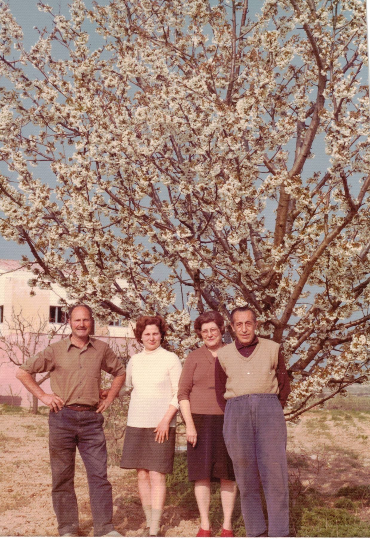 Família davant d'un arbre florit a la Torre nova del Serret